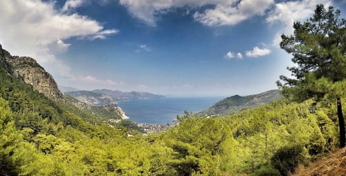 Turunç Hakkında Merak Ettikleriniz- Marmaris