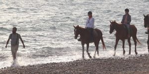 Desperado Ranch Atlı Kamp travelmugla