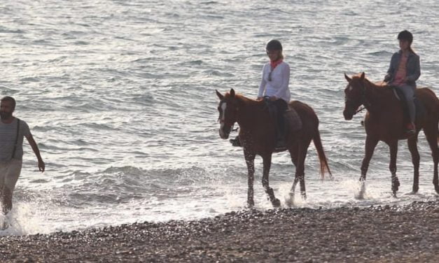 Desperado Ranch Fethiye Atlı Kamp