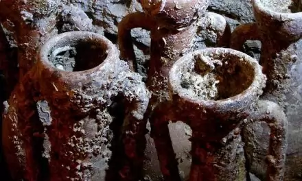 Bodrum’da Mutlaka Gezmeniz Gereken 3 Bodrum Müzesi